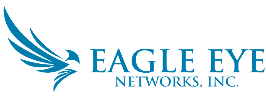 IT AV Integration Services Japan 73 eagle eye networks logo